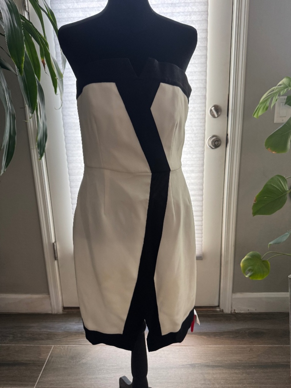 New with Tags Rachel Zoe Semi Formal dress